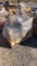 New Vehicle Parts