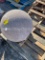 Concrete ball
