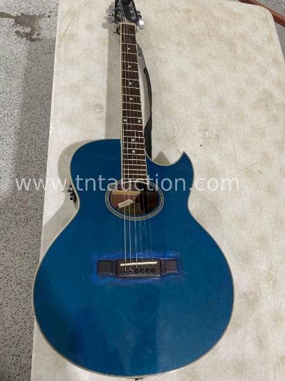 Washburn guitar