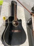 Washburn guitar