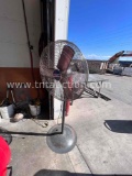 Shop Fan
