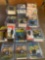 Dog Collars and Trainers