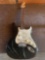 Fender Squire Stral cae-0040618147