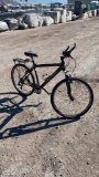 Fuji Bike