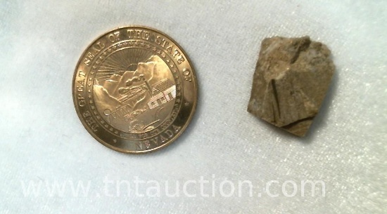 COINS