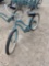 Trek Bike