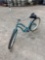 Trek Bike