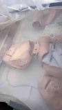 CPR Dummys