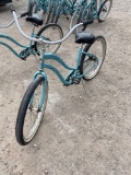 Trek Bike