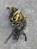 Taxable Safety Harnesses