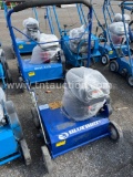 Bluebird PR-18 power rake