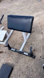 Preacher Curl Bench
