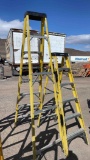 Taxable 6' and 8' Husky Ladders