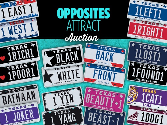 My Plates Opposites Attract Auction