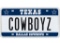 COWBOYZ