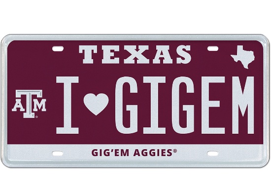 IGIGEM