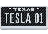 TESLA 01