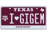 IGIGEM