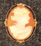 ANTIQUE SHELL CARVED CAMEO PIN