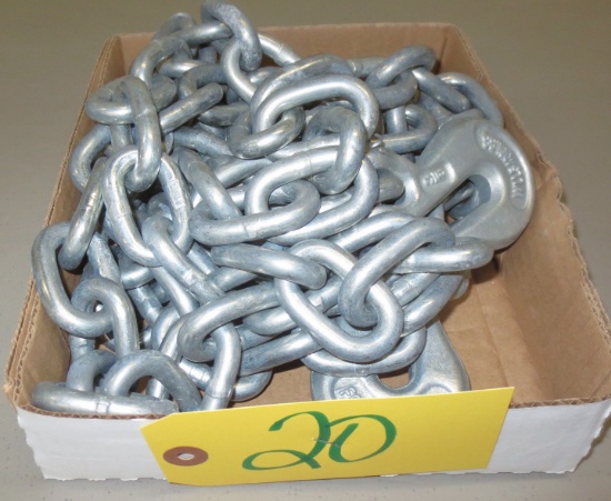 14 Ft. Chain