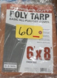 Pair of Poly Tarps