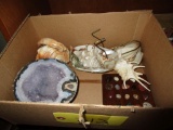 Seashells, Geode