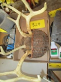 Antlers