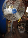 Patton Fan