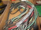 Bungee Cords
