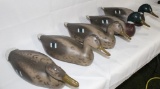 Victor D-9 Decoys, Set of 5