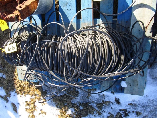 Cable