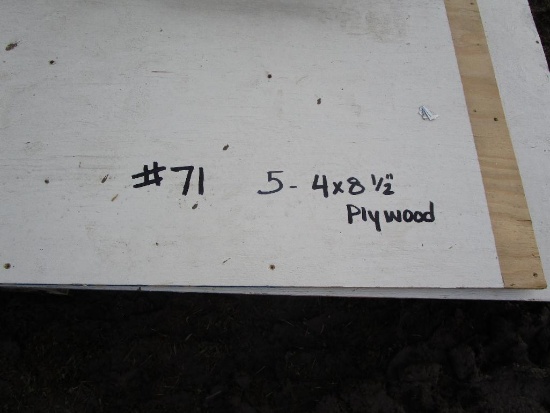 5- 4x8x1/2" Plywood