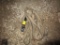 Hitch and Tow Rope