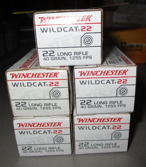 Winchester 22lr, 40 grain, 250 Rounds