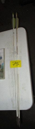 Pair of Bow Fishing Arrows