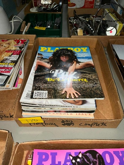 Playboy 2013 Complete Set