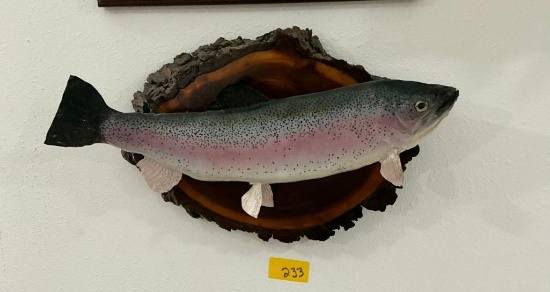 Trout
