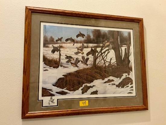 Bob White Quail Picture