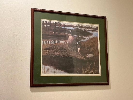 Canadian Goose Picture