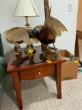 Pheasant Taxidermy