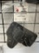 Gun Holster