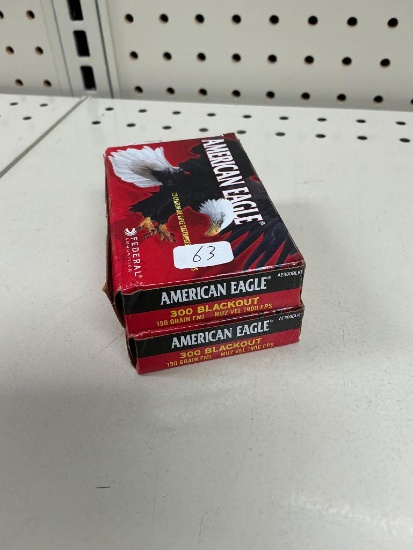 40 Rounds of 300 Blackout Ammo