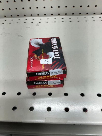 40 Rounds of 300 Blackout Ammo