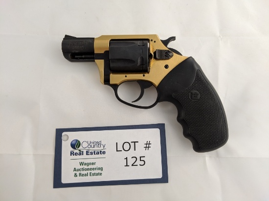 Charter Arms Gold finger