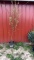 Weeping willow