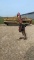 New Holland 499 center pivot 12’ haybine with hydraulic drive and rubber rolls