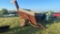 FEED WAGON