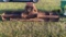 HEAVY DUTY GRADER BLADE