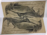Zuniga original charcoal of nude woman