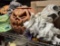 Lot Halloween decor